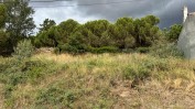 TERRENO PARA CONSTRUÇÃO - VALE DE SANTARÉM, SANTARÉM