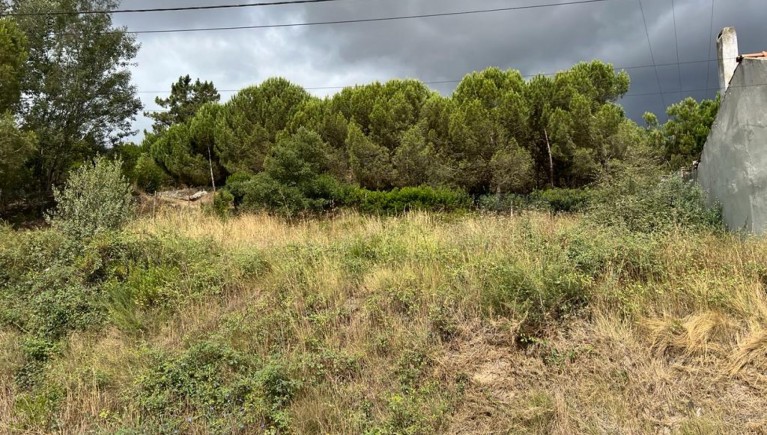 TERRENO PARA CONSTRUÇÃO - VALE DE SANTARÉM, SANTARÉM