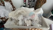 DIVERSO MATERIAL DE ESCRITÓRIO | DIVERSO MATERIAL E EQUIPAMENTO PARA INDÚSTRIA TÊXTIL