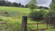 PRÉDIO RÚSTICO COMPOSTO POR TERRENO DE MATO COM EDIFICIO DESTINADO A CORTE DE ANIMAIS COM ÁREA TOTAL DE 15200 M2