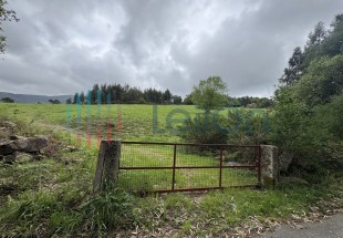 PRÉDIO RÚSTICO COMPOSTO POR TERRENO DE MATO COM EDIFICIO DESTINADO A CORTE DE ANIMAIS COM ÁREA TOTAL DE 15200 M2