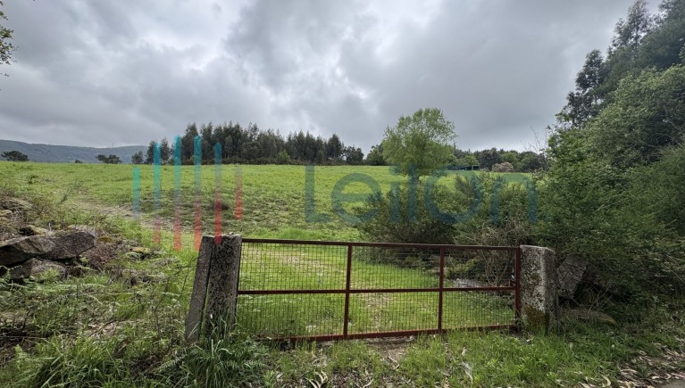 PRÉDIO RÚSTICO COMPOSTO POR TERRENO DE MATO COM EDIFICIO DESTINADO A CORTE DE ANIMAIS COM ÁREA TOTAL DE 15200 M2