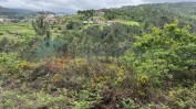 PRÉDIO RÚSTICO COMPOSTO POR TERRENO DE PINHAL E MATO COM ÁREA TOTAL DE 1430 M2