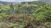 PRÉDIO RÚSTICO COMPOSTO POR TERRENO DE PINHAL E MATO COM ÁREA TOTAL DE 1430 M2