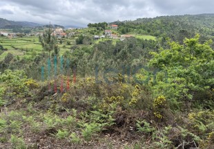 PRÉDIO RÚSTICO COMPOSTO POR TERRENO DE PINHAL E MATO COM ÁREA TOTAL DE 1430 M2