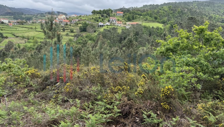 PRÉDIO RÚSTICO COMPOSTO POR TERRENO DE PINHAL E MATO COM ÁREA TOTAL DE 1430 M2