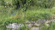PRÉDIO RÚSTICO COMPOSTO POR TERRENO DE CULTURA E VINHA COM ÁREA TOTAL DE 50 M2