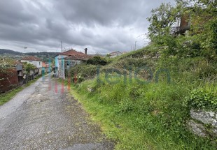 PRÉDIO RÚSTICO COMPOSTO POR TERRENO DE CULTURA E VINHA COM ÁREA TOTAL DE 50 M2