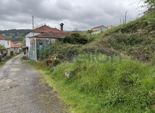 img-8883.jpg
