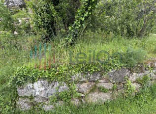 img-8884.jpg