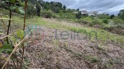 PRÉDIO RÚSTICO COMPOSTO POR TERRENO DE CULTURA E VINHA COM ÁREA TOTAL DE 90 M2