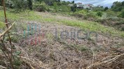 PRÉDIO RÚSTICO COMPOSTO POR TERRENO DE CULTURA E VINHA COM ÁREA TOTAL DE 90 M2