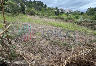 PRÉDIO RÚSTICO COMPOSTO POR TERRENO DE CULTURA E VINHA COM ÁREA TOTAL DE 90 M2