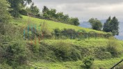 PRÉDIO RÚSTICO COMPOSTO POR TERRENO DE CULTURA COM ÁREA TOTAL DE 14780 M2