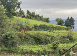 img-8934.jpg