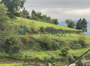 img-8935.jpg