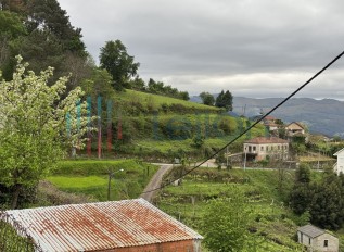 img-8936.jpg