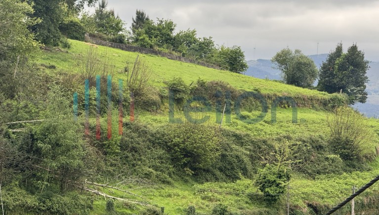 PRÉDIO RÚSTICO COMPOSTO POR TERRENO DE CULTURA COM ÁREA TOTAL DE 14780 M2