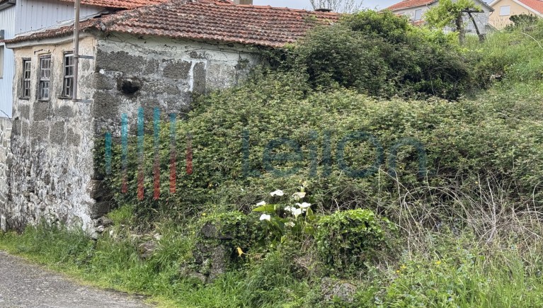 PRÉDIO URBANO COMPOSTO POR CASA COM DOIS PAVIMENTOS, CANASTRO, ALBOIO E ROSSIOS DE CULTURA E VINHA COM ÁREA TOTAL DE 220 M2 E ÁREA COBERTA 100 M2