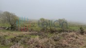 PRÉDIO RÚSTICO COMPOSTO POR PASTAGEM, MATO E MATA DE VIDOEIROS COM ÁREA TOTAL DE 3170 M2