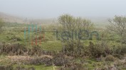 PRÉDIO RÚSTICO COMPOSTO POR PASTAGEM, MATO E MATA DE VIDOEIROS COM ÁREA TOTAL DE 3170 M2