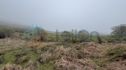 PRÉDIO RÚSTICO COMPOSTO POR PASTAGEM, MATO E MATA DE VIDOEIROS COM ÁREA TOTAL DE 3170 M2