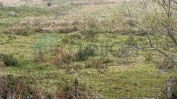 PRÉDIO RÚSTICO COMPOSTO POR PASTAGEM, MATO E MATA DE VIDOEIROS COM ÁREA TOTAL DE 3170 M2