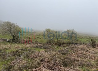 img-8914.jpg