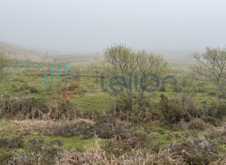 img-8915.jpg
