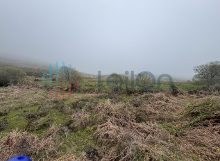 img-8916.jpg