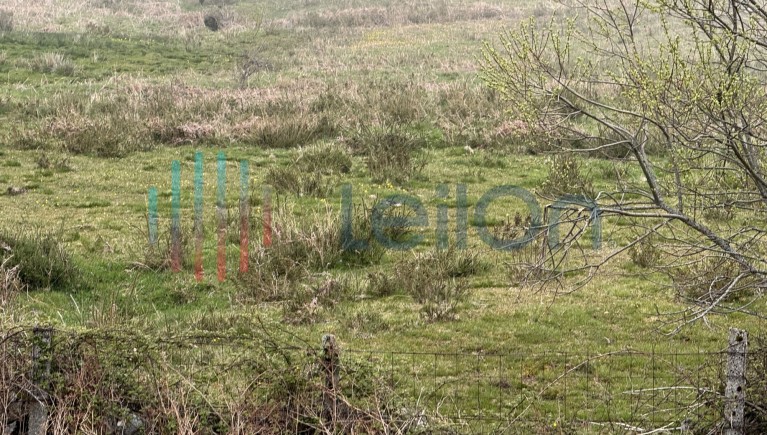 PRÉDIO RÚSTICO COMPOSTO POR PASTAGEM, MATO E MATA DE VIDOEIROS COM ÁREA TOTAL DE 3170 M2
