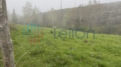 ¼ DO PRÉDIO RÚSTICO DENOMINADO POR VIDOEIRO, COMPOSTO POR LAMEIRO COM ÁREA TOTAL DE 7700 M2