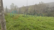 ¼ DO PRÉDIO RÚSTICO DENOMINADO POR VIDOEIRO, COMPOSTO POR LAMEIRO COM ÁREA TOTAL DE 7700 M2