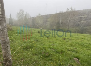 img-8921.jpg
