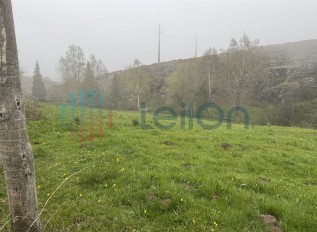 img-8922.jpg