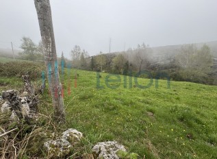 img-8923.jpg