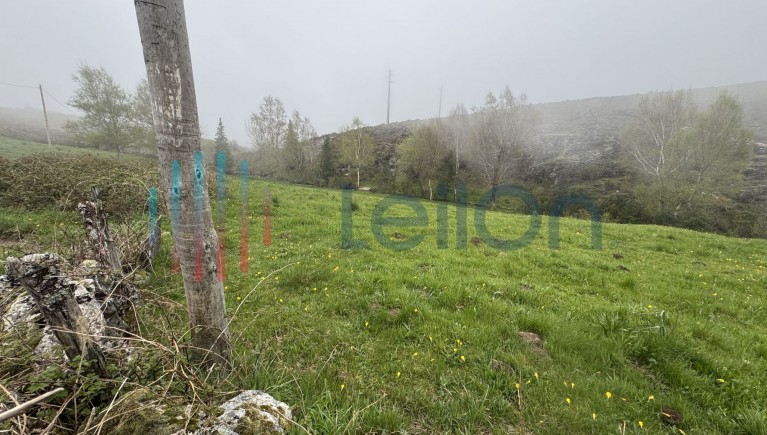 ¼ DO PRÉDIO RÚSTICO DENOMINADO POR VIDOEIRO, COMPOSTO POR LAMEIRO COM ÁREA TOTAL DE 7700 M2
