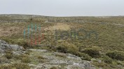PRÉDIO RÚSTICO DENOMINADO POR TAPADO DA CHÃO COMPOSTO POR MATO COM ÁREA TOTAL DE 3780 M2