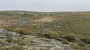 PRÉDIO RÚSTICO DENOMINADO POR TAPADO DA CHÃO COMPOSTO POR MATO COM ÁREA TOTAL DE 3780 M2