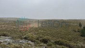 PRÉDIO RÚSTICO DENOMINADO POR TAPADO DA CHÃO COMPOSTO POR MATO COM ÁREA TOTAL DE 3780 M2