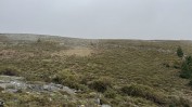 PRÉDIO RÚSTICO DENOMINADO POR TAPADO DA CHÃO COMPOSTO POR MATO COM ÁREA TOTAL DE 3780 M2