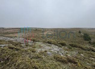 img-8907.jpg