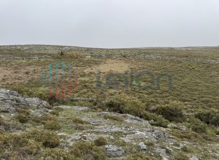 img-8908.jpg