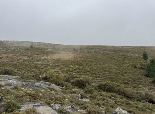 img-8910.jpg