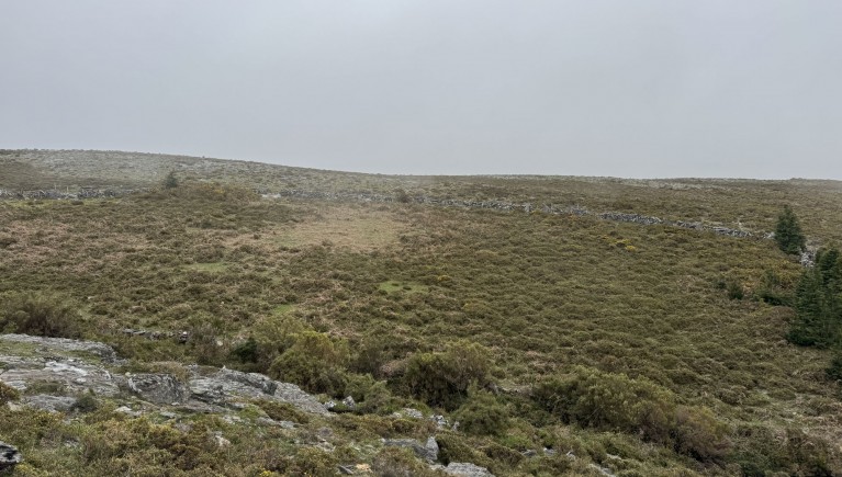 PRÉDIO RÚSTICO DENOMINADO POR TAPADO DA CHÃO COMPOSTO POR MATO COM ÁREA TOTAL DE 3780 M2