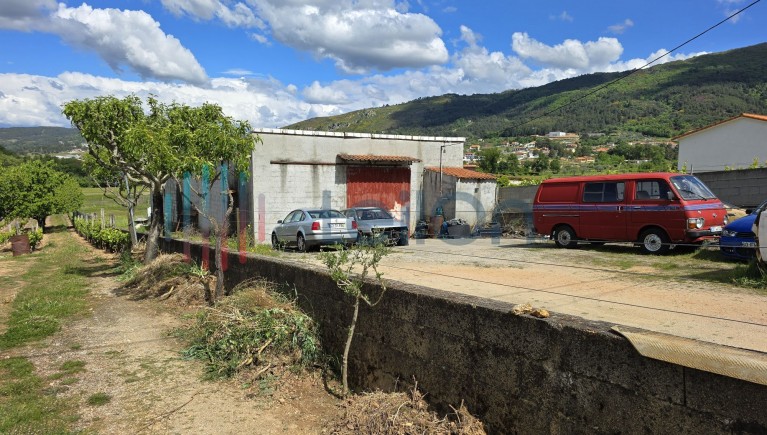 PRÉDIO RÉS DO CHÃO, DESTINADO A ADEGA E ARRUMOS