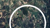 TERRENO COMPOSTO POR MONTE COM PINHEIROS 