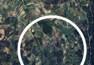 TERRENO COMPOSTO POR MONTE COM PINHEIROS 