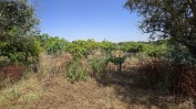 PRÉDIO URBANO COMPOSTO POR RÉS-DO-CHÃO, SÓTÃO, ANEXO E LOGRADOURO