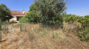 PRÉDIO URBANO COMPOSTO POR RÉS-DO-CHÃO, SÓTÃO, ANEXO E LOGRADOURO
